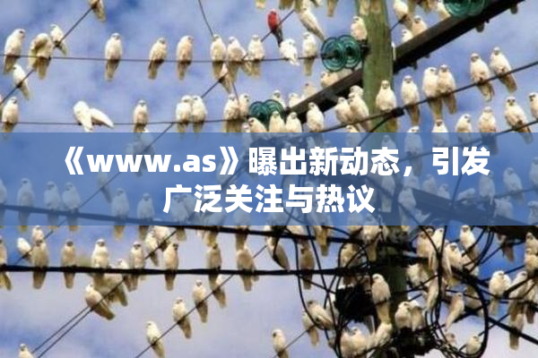 《www.as》曝出新动态，引发广泛关注与热议