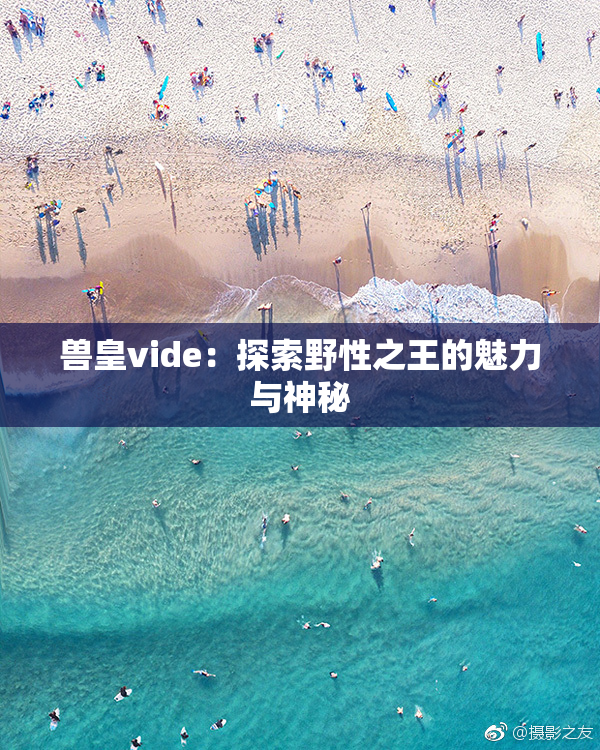 兽皇vide：探索野性之王的魅力与神秘