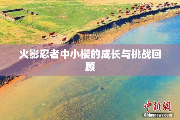 火影忍者中小樱的成长与挑战回顾