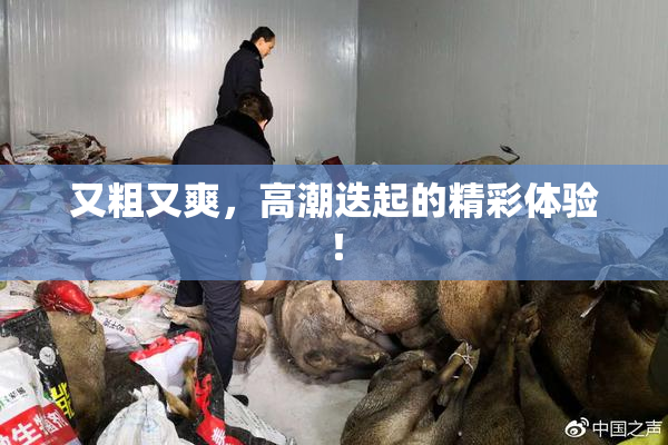 又粗又爽，高潮迭起的精彩体验！