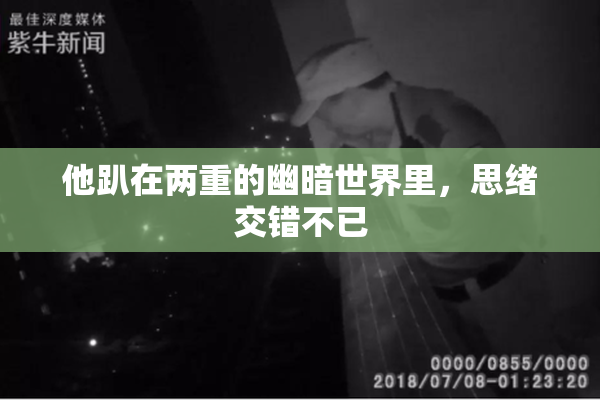 他趴在两重的幽暗世界里，思绪交错不已