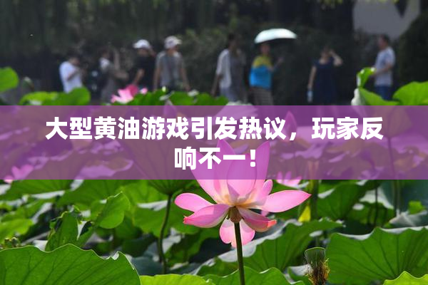 大型黄油游戏引发热议，玩家反响不一！