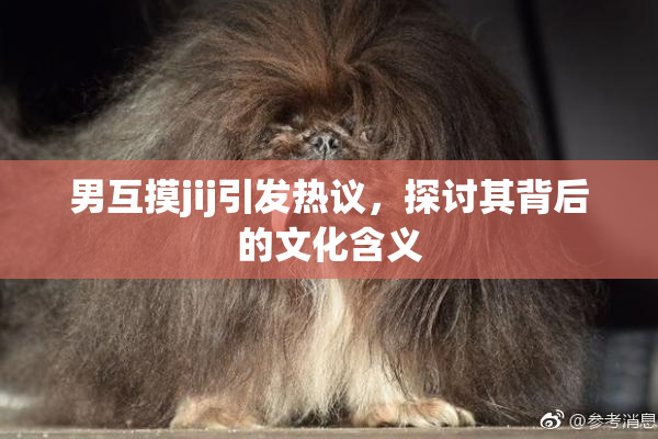 男互摸jij引发热议，探讨其背后的文化含义