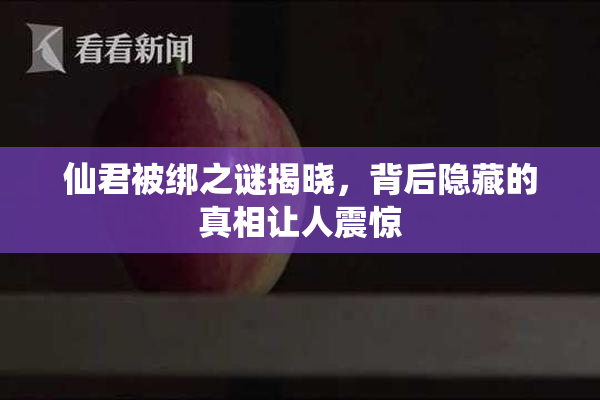 仙君被绑之谜揭晓，背后隐藏的真相让人震惊