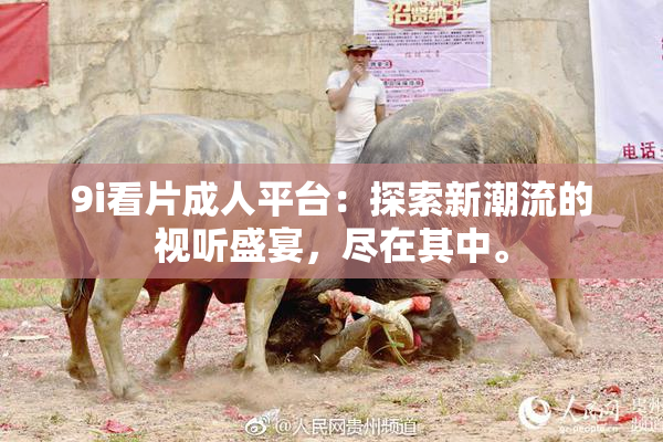 9i看片成人平台：探索新潮流的视听盛宴，尽在其中。
