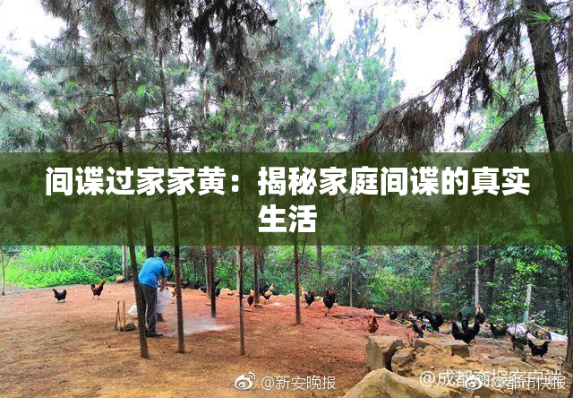 间谍过家家黄：揭秘家庭间谍的真实生活