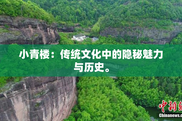 小青楼：传统文化中的隐秘魅力与历史。