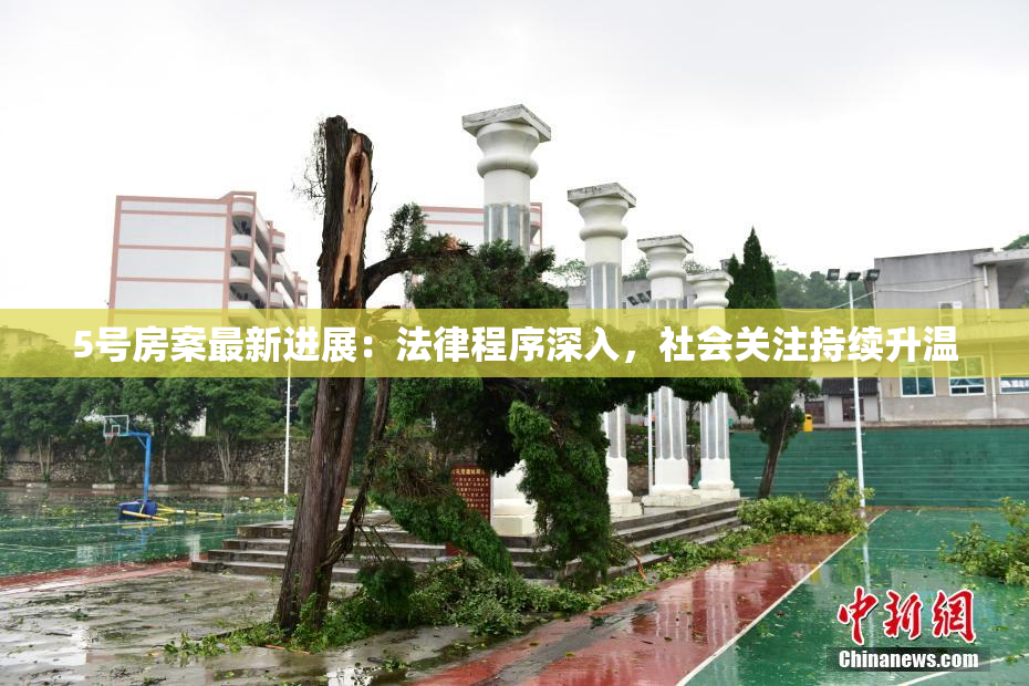 5号房案最新进展：法律程序深入，社会关注持续升温