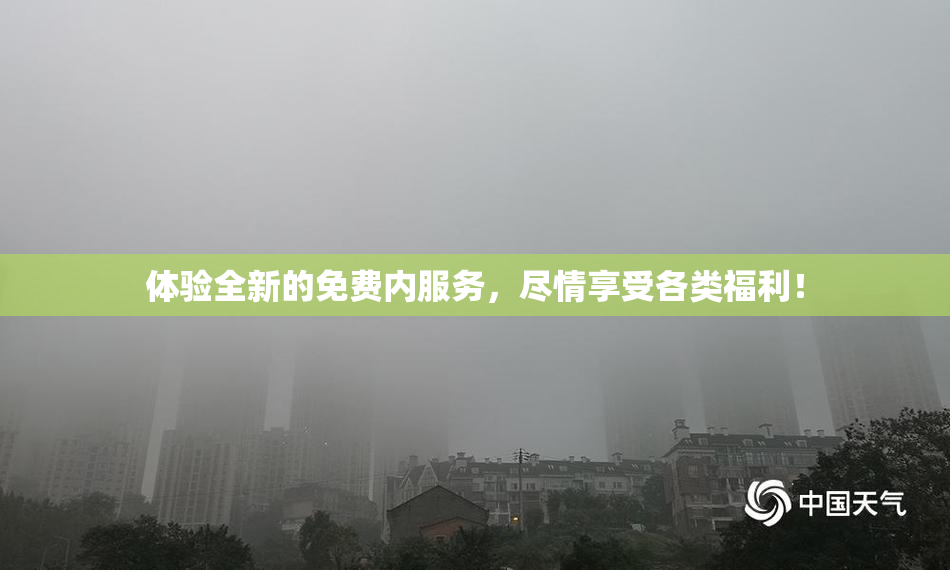 体验全新的免费内服务，尽情享受各类福利！