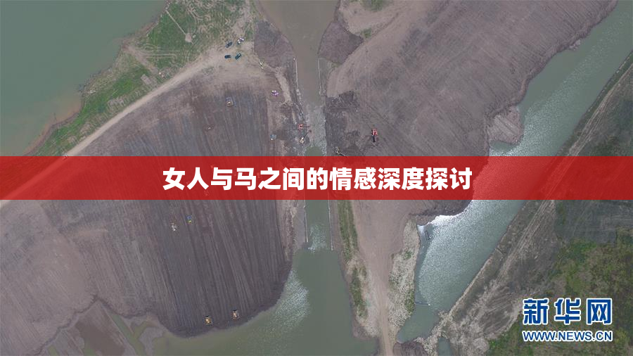 女人与马之间的情感深度探讨