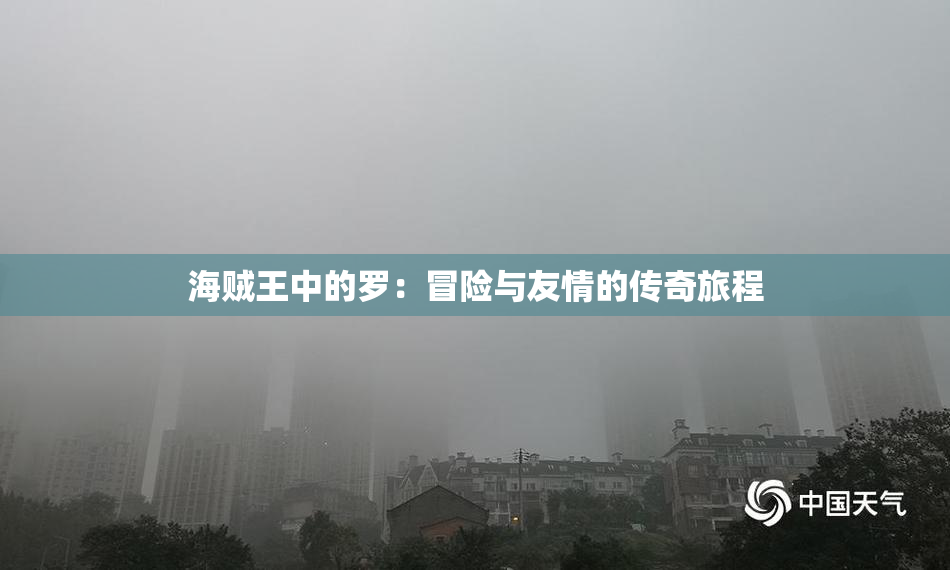 海贼王中的罗：冒险与友情的传奇旅程