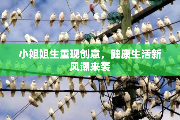 小姐姐生重现创意，健康生活新风潮来袭