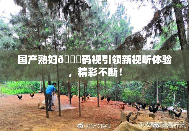 国产熟妇🈚码视引领新视听体验，精彩不断！