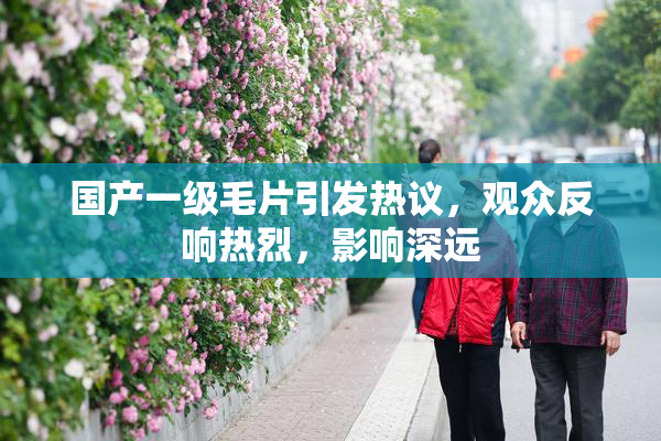 国产一级毛片引发热议，观众反响热烈，影响深远