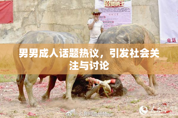 男男成人话题热议，引发社会关注与讨论