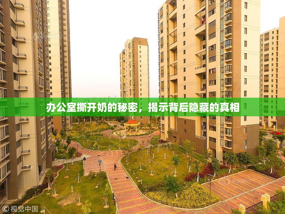 办公室撕开奶的秘密，揭示背后隐藏的真相