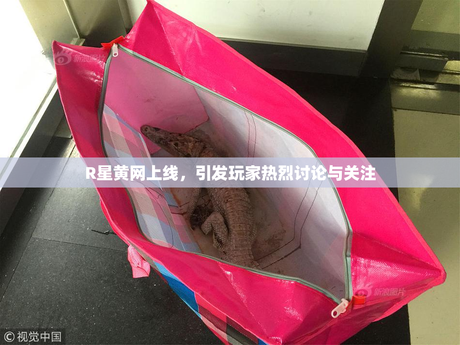 R星黄网上线，引发玩家热烈讨论与关注