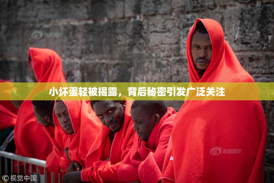 小坏蛋轻被揭露，背后秘密引发广泛关注
