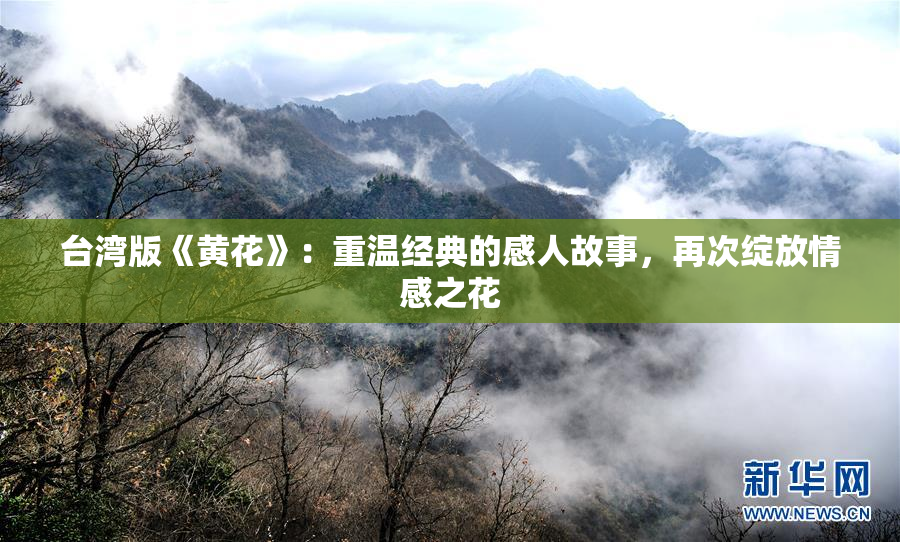 台湾版《黄花》：重温经典的感人故事，再次绽放情感之花