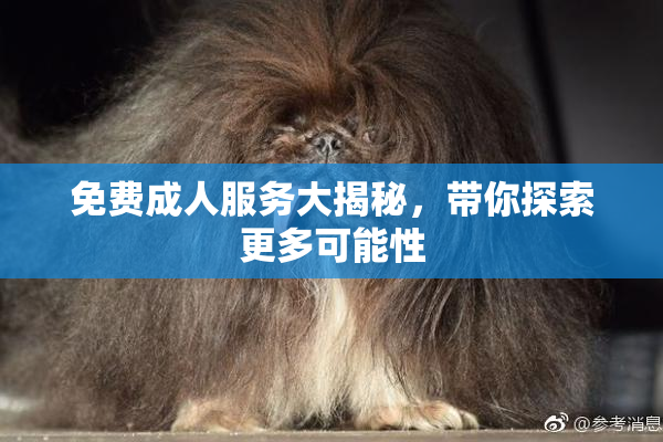 免费成人服务大揭秘，带你探索更多可能性