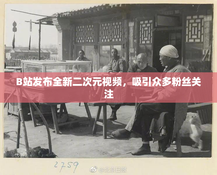 B站发布全新二次元视频，吸引众多粉丝关注