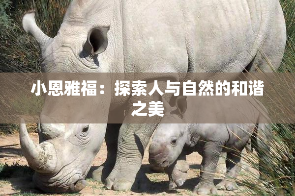 小恩雅福：探索人与自然的和谐之美