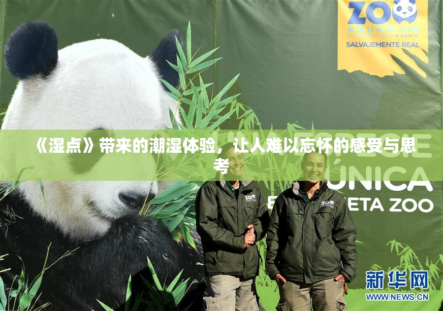 《湿点》带来的潮湿体验，让人难以忘怀的感受与思考
