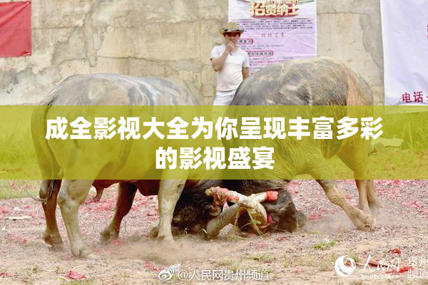 成全影视大全为你呈现丰富多彩的影视盛宴