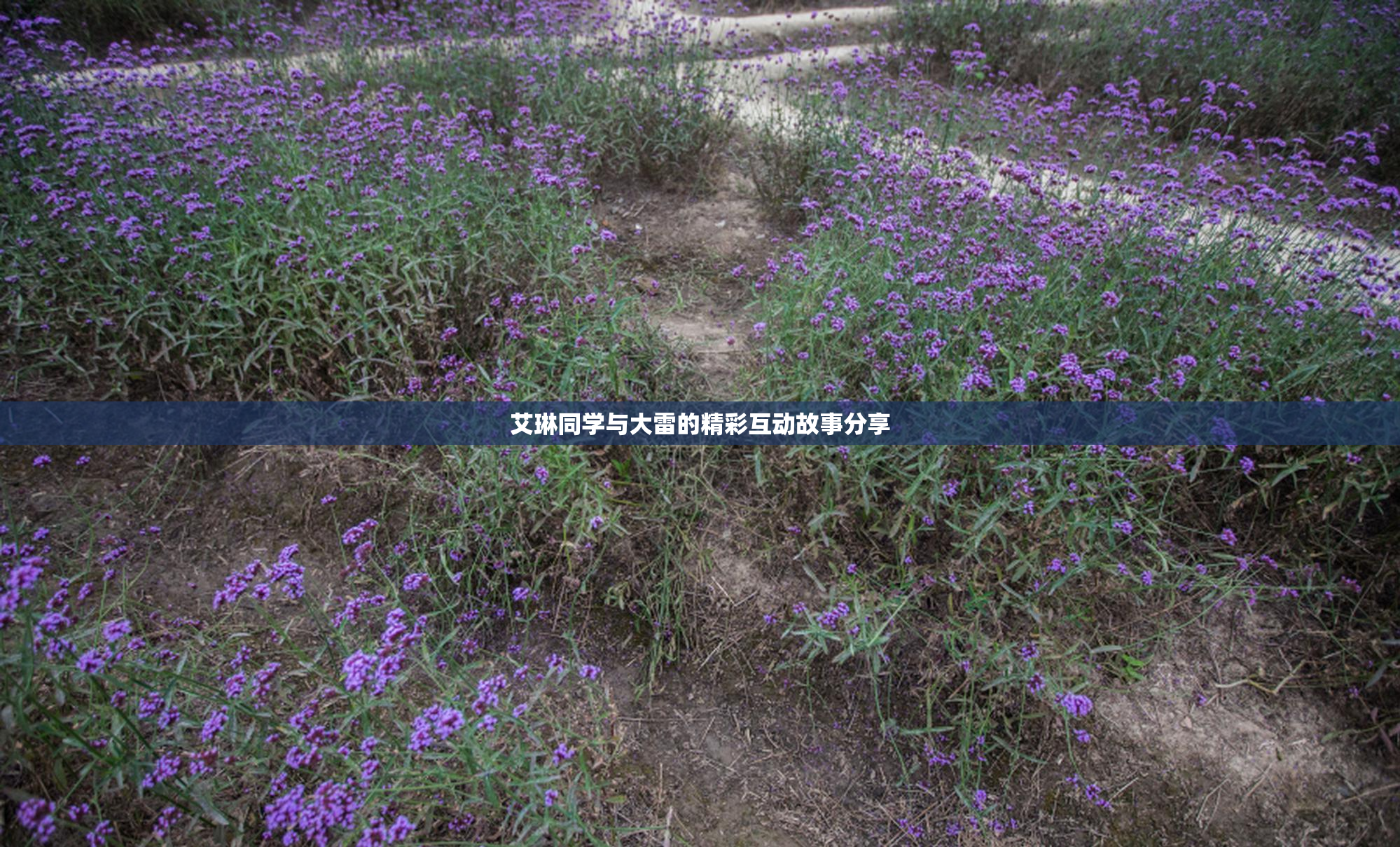 艾琳同学与大雷的精彩互动故事分享