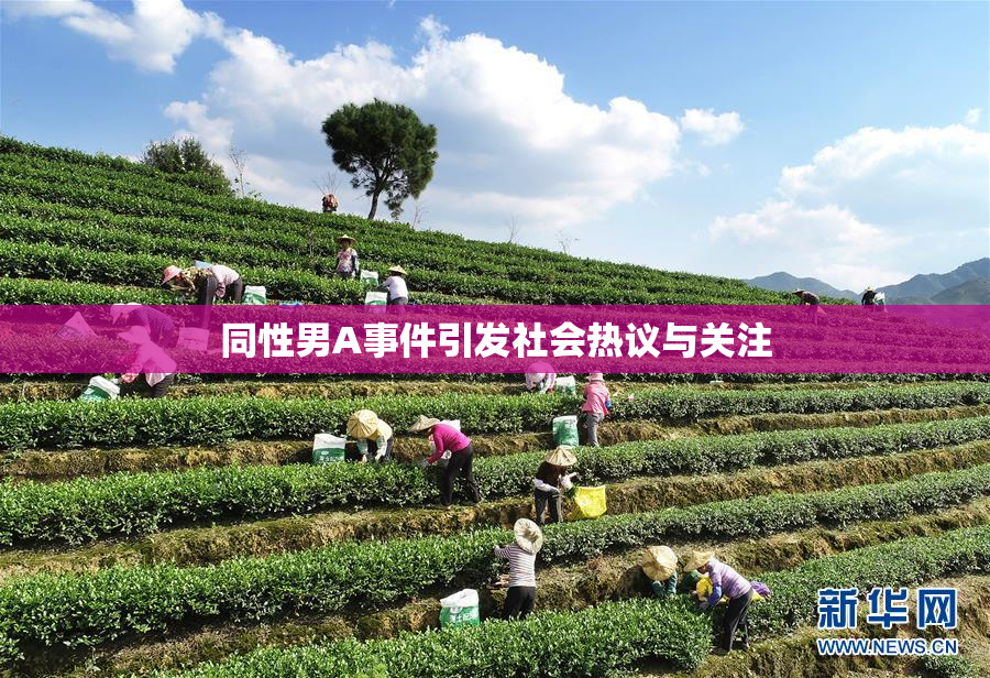 同性男A事件引发社会热议与关注