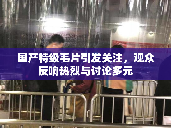 国产特级毛片引发关注，观众反响热烈与讨论多元