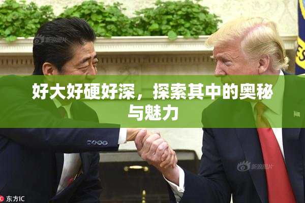 好大好硬好深，探索其中的奥秘与魅力