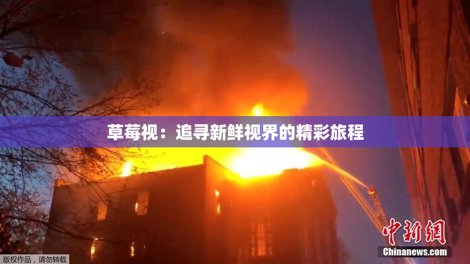 草莓视：追寻新鲜视界的精彩旅程