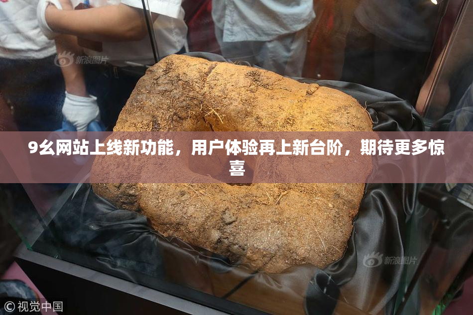 9幺网站上线新功能，用户体验再上新台阶，期待更多惊喜