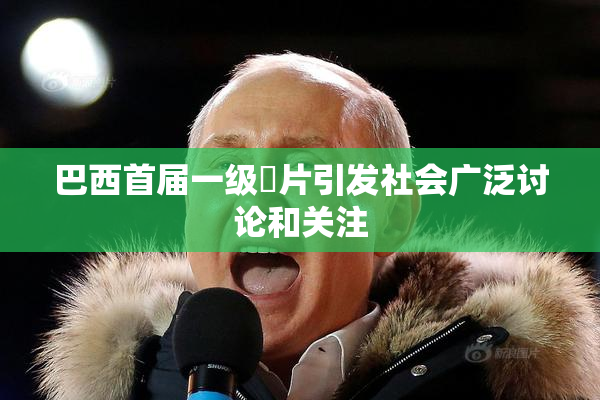 巴西首届一级婬片引发社会广泛讨论和关注