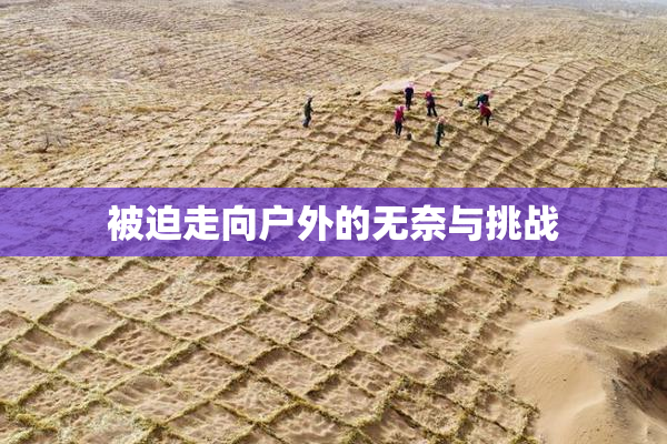 被迫走向户外的无奈与挑战