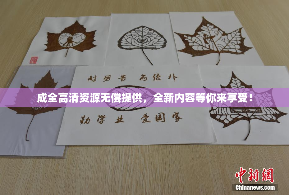 成全高清资源无偿提供，全新内容等你来享受！