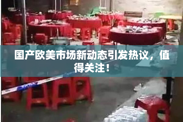 国产欧美市场新动态引发热议，值得关注！
