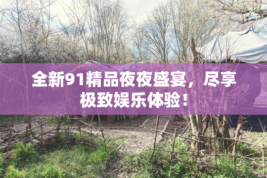 全新91精品夜夜盛宴，尽享极致娱乐体验！