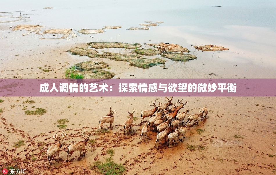 成人调情的艺术：探索情感与欲望的微妙平衡