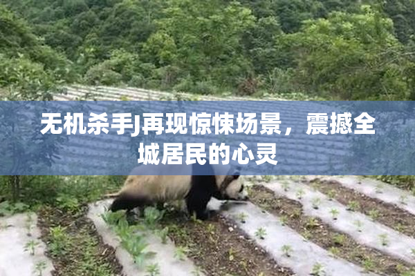 无机杀手J再现惊悚场景，震撼全城居民的心灵
