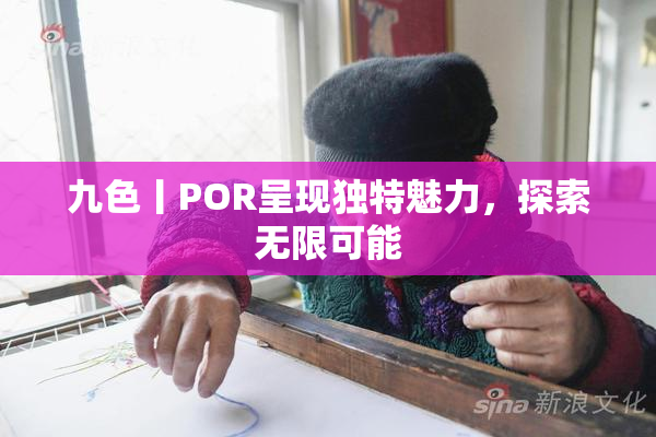 九色丨POR呈现独特魅力，探索无限可能