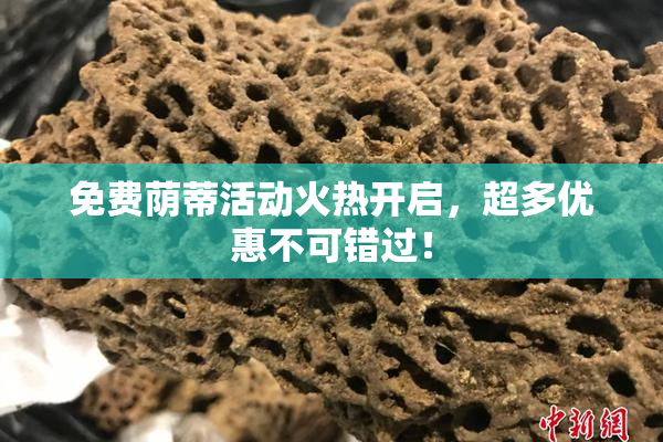 免费荫蒂活动火热开启，超多优惠不可错过！