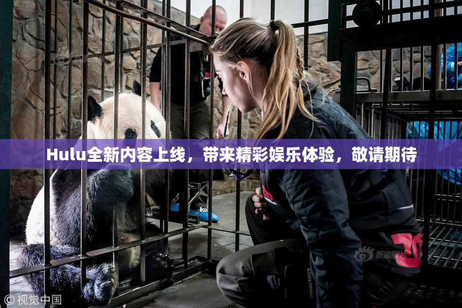Hulu全新内容上线，带来精彩娱乐体验，敬请期待