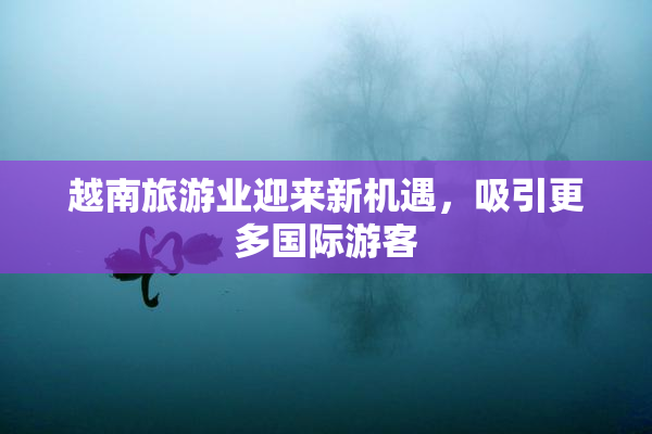 越南旅游业迎来新机遇，吸引更多国际游客