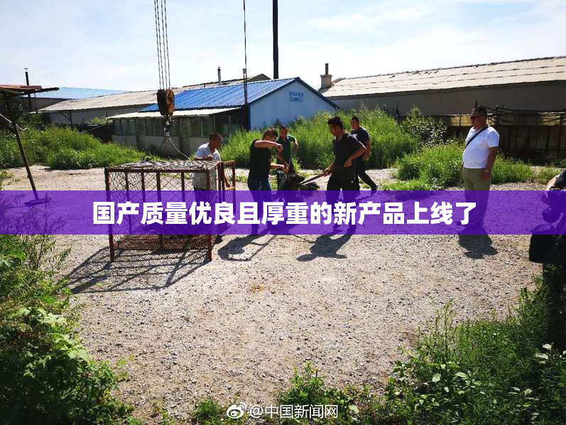 国产质量优良且厚重的新产品上线了