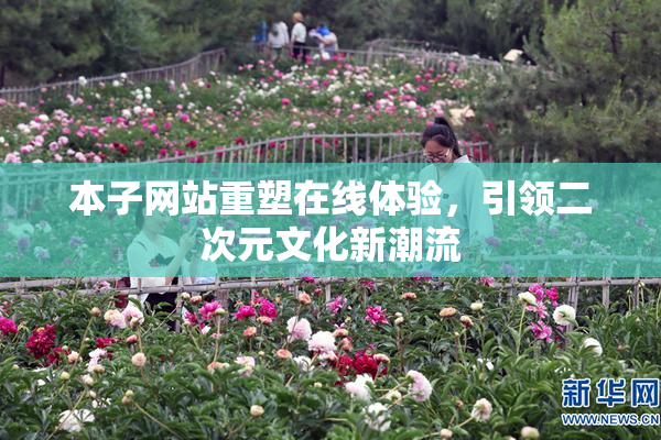 本子网站重塑在线体验，引领二次元文化新潮流