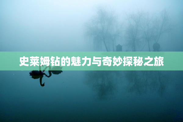 史莱姆钻的魅力与奇妙探秘之旅