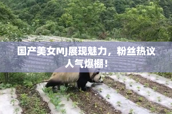 国产美女MJ展现魅力，粉丝热议人气爆棚！