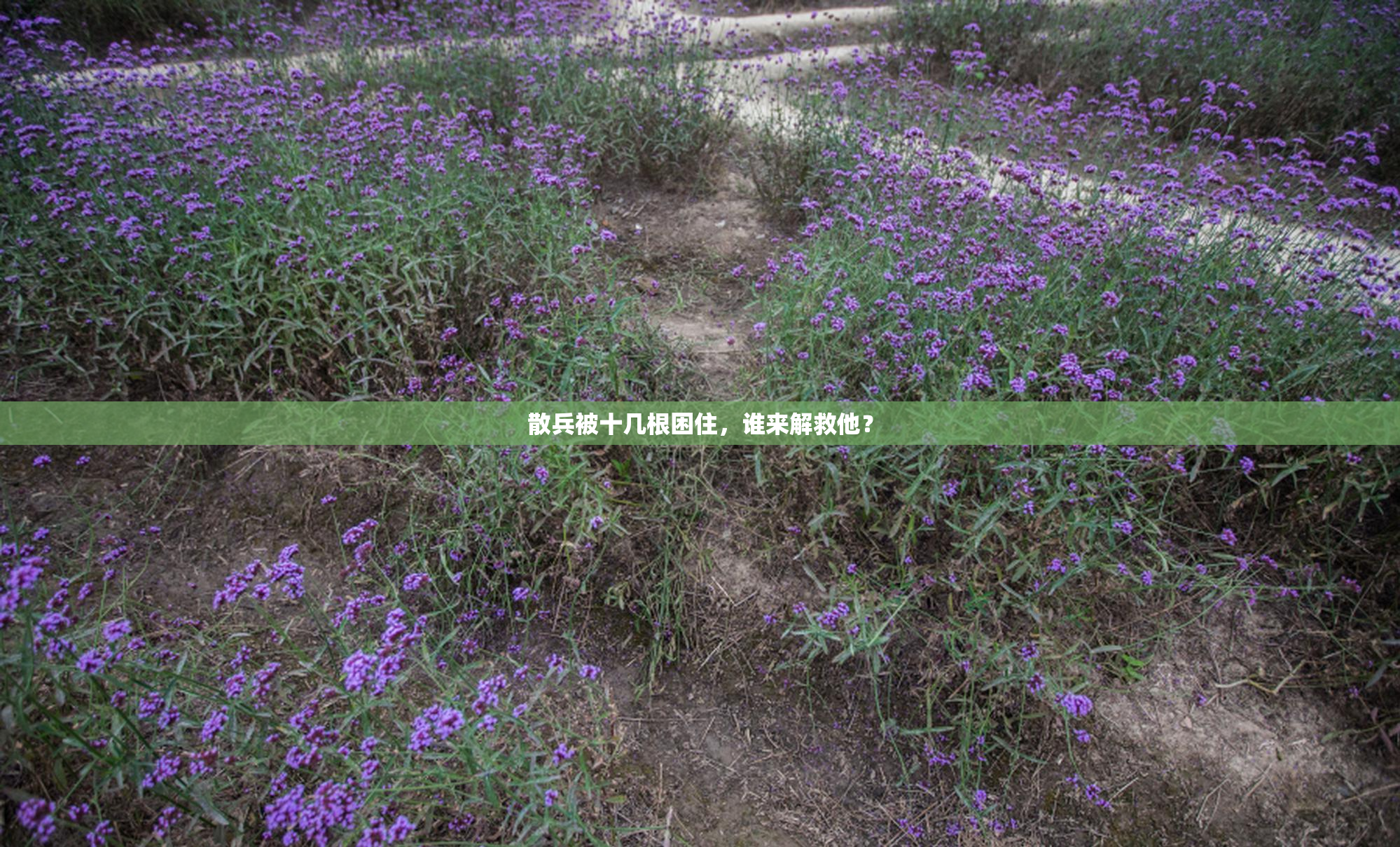 散兵被十几根困住，谁来解救他？